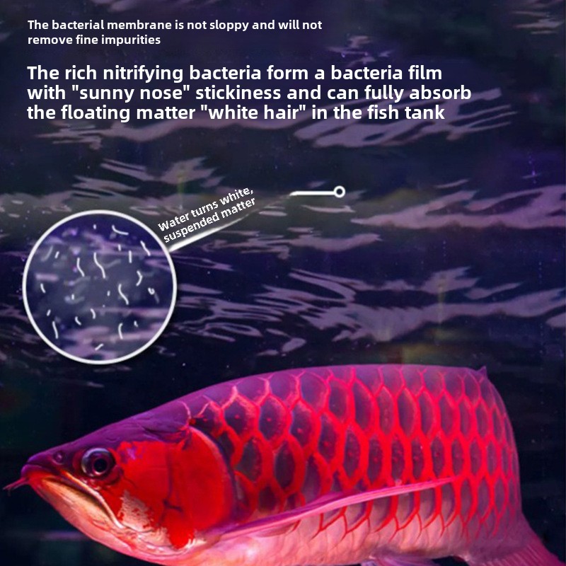 ACフィルター材 中空石英球培養 バクテリア浄化水 魚用バク - Calcium Reactor Media のレビューと価格