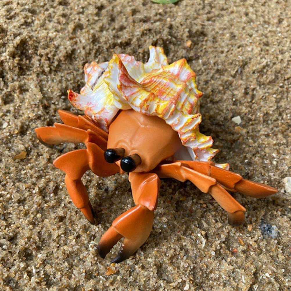 シミュレーションヤドカリ人工パグリアンカニの模型、子供向け教 - Marine Aquarium Europe のレビューと価格