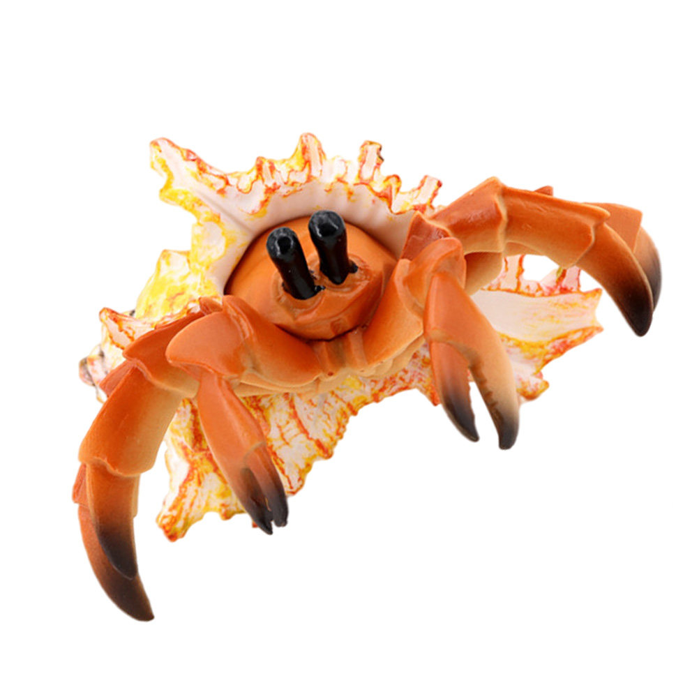 シミュレーションヤドカリ人工パグリアンカニの模型、子供向け教 - Marine Aquarium Europe のレビューと価格
