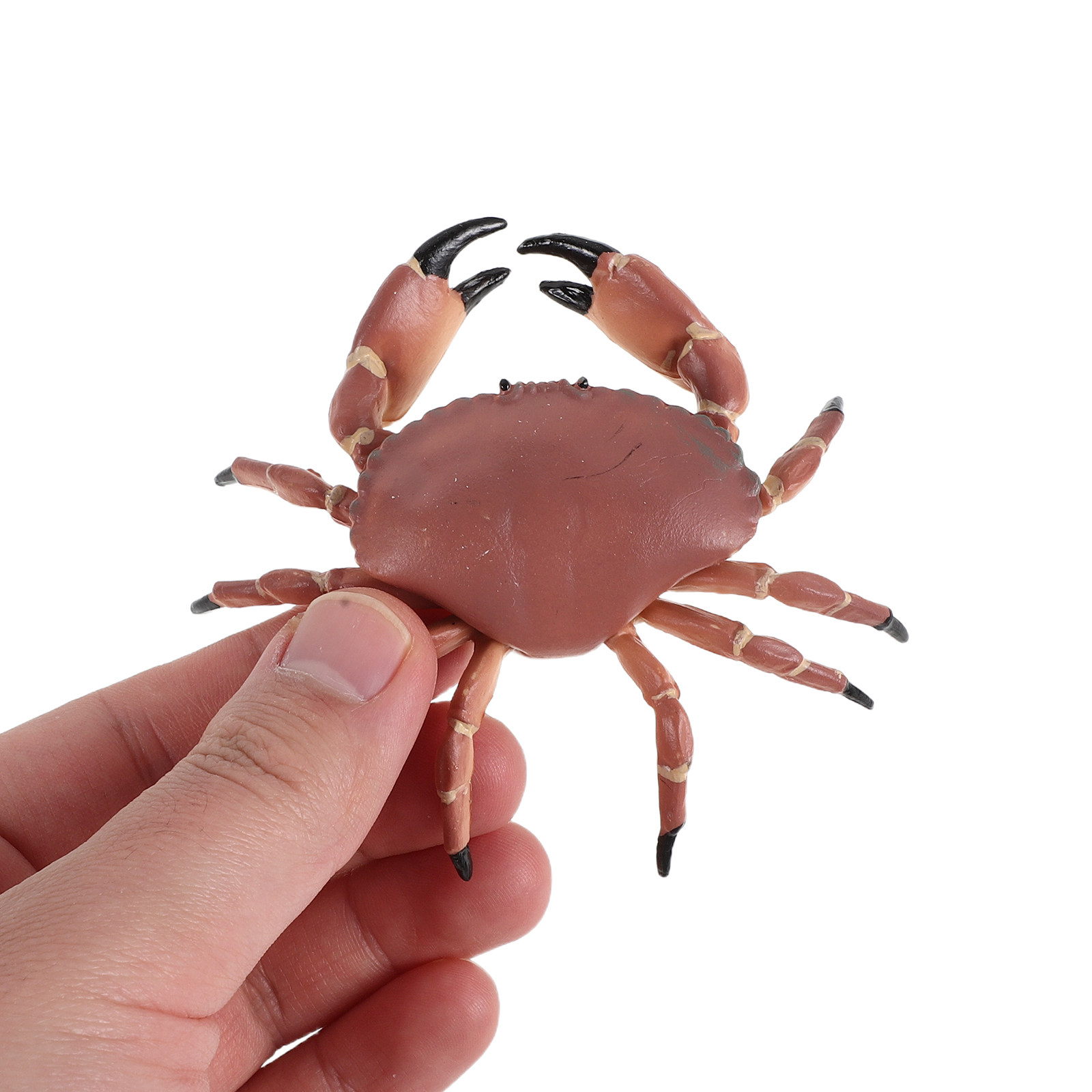 3個入りリアルなプラスチック製カニフィギュア、本物そっくりの - Marine Aquarium Europe のレビューと価格