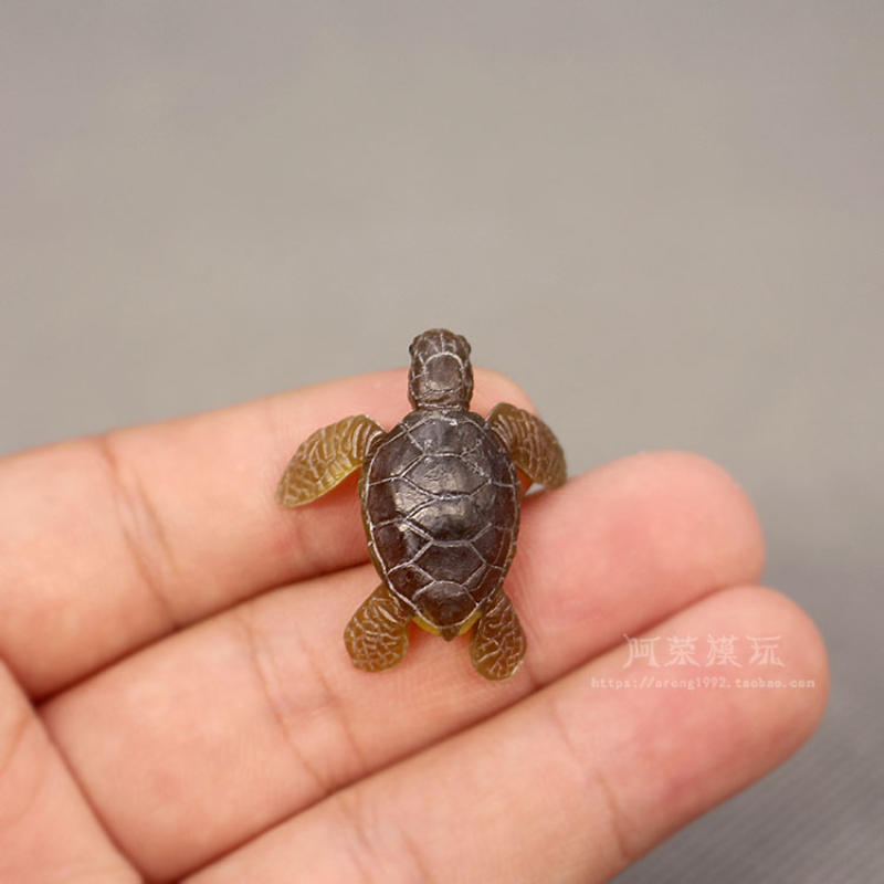 マリンライフ海の形をしたアクションフィギュア,装飾的なカメモ - Marine Aquarium Japan のレビューと価格