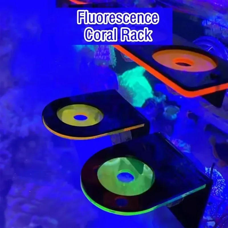水槽用アクリル製蛍光サンゴブラケットホルダー SPSブラケッ - Aquarium Marine Fishes のレビューと価格