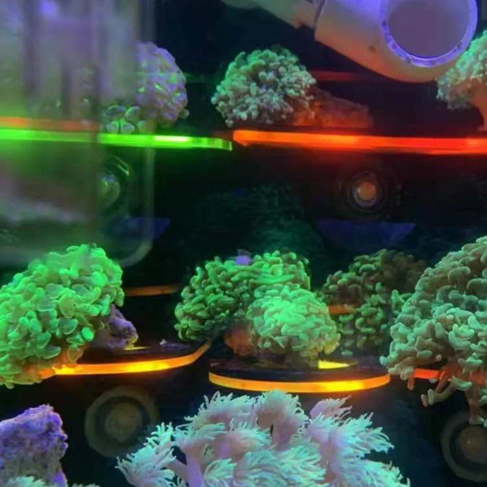 水槽用アクリル製蛍光サンゴブラケットホルダー SPSブラケッ - Aquarium Marine Fishes のレビューと価格