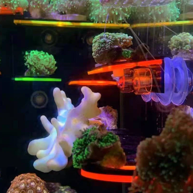 水槽用アクリル製蛍光サンゴブラケットホルダー SPSブラケッ - Aquarium Marine Fishes のレビューと価格